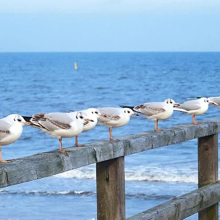 Doppelhaushaelfte Duenenhaus I, Trassenheide