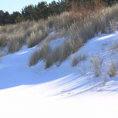 Doppelhaushaelfte Duenenhaus I, * Trassenheide