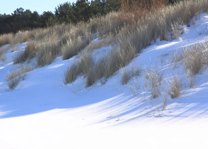 Doppelhaushaelfte Duenenhaus I, * Trassenheide